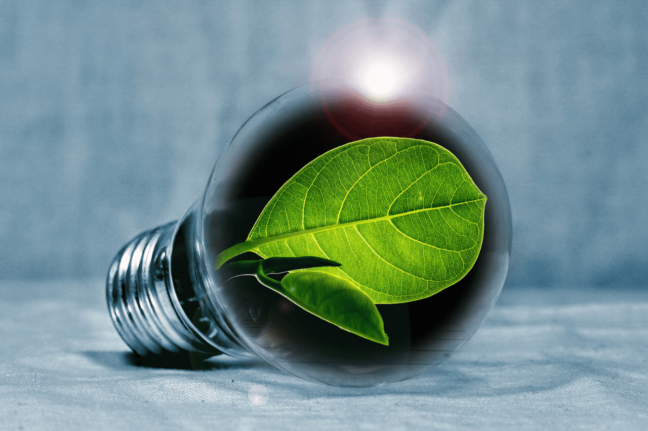 Energia sostenibile: cos’è e quali sono le fonti energetiche